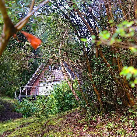 Hostal Ralun Patagonia Exterior foto